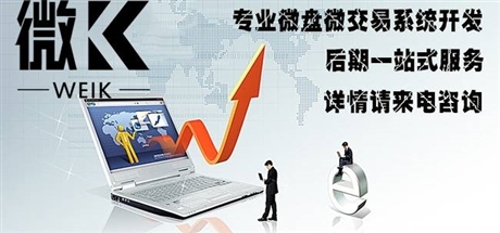 專業(yè)微交易系統(tǒng)開發(fā)公司,游戲版微交易軟件開發(fā)哪家好