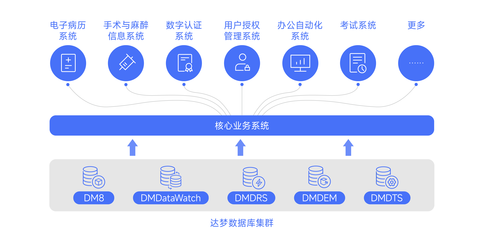 達(dá)夢(mèng)數(shù)據(jù)助力廈門大學(xué)附屬成功醫(yī)院核心業(yè)務(wù)系統(tǒng)信創(chuàng)改造 — 打造國(guó)產(chǎn)數(shù)據(jù)庫(kù)服務(wù)新模式