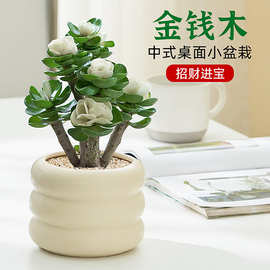 金鉆植脂奶油與廚具衛(wèi)具 烘焙世界的黃金搭檔
